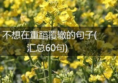 不想在重蹈覆辙的句子(汇总60句)