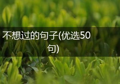 不想过的句子(优选50句)