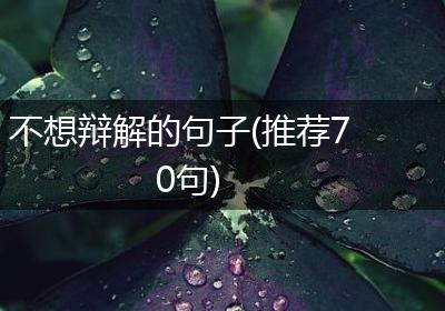 不想辩解的句子(推荐70句)