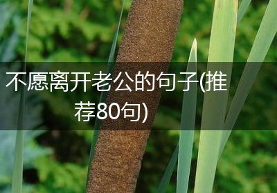 不愿离开老公的句子(推荐80句)