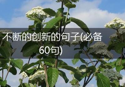 不断的创新的句子(必备60句)