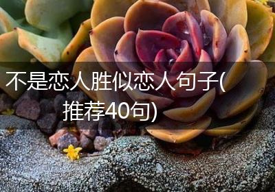 不是恋人胜似恋人句子(推荐40句)