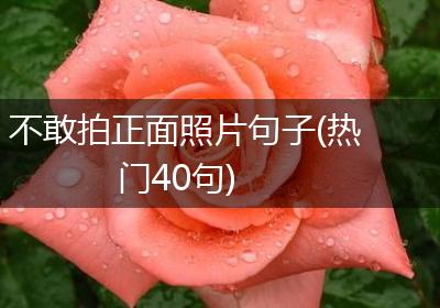 不敢拍正面照片句子(热门40句)