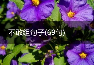 不敢组句子(69句)