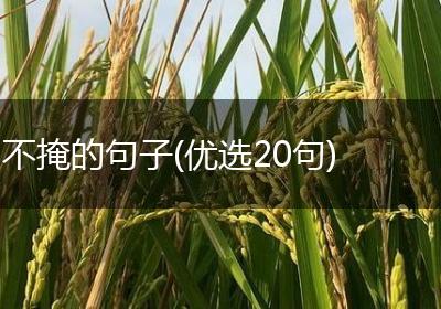 不掩的句子(优选20句)