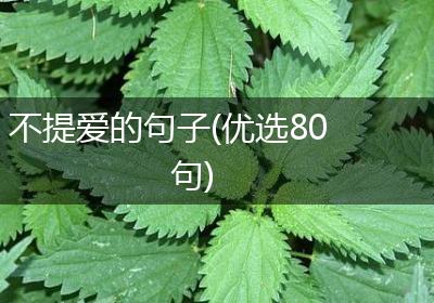 不提爱的句子(优选80句)