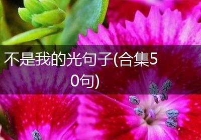 不是我的光句子(合集50句)