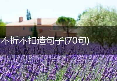 不折不扣造句子(70句)