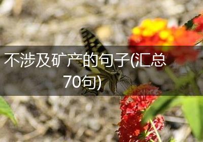 不涉及矿产的句子(汇总70句)