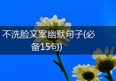 不洗脸文案幽默句子(必备15句)