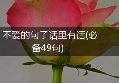 不爱的句子话里有话(必备49句)