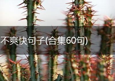 不爽快句子(合集60句)