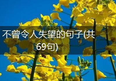 不曾令人失望的句子(共69句)
