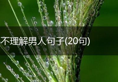 不理解男人句子(20句)