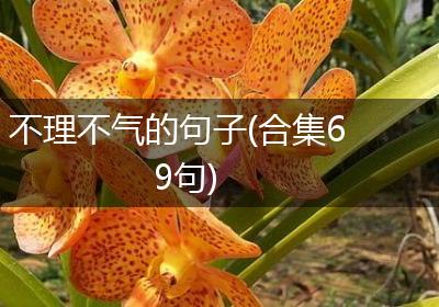 不理不气的句子(合集69句)