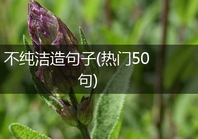 不纯洁造句子(热门50句)