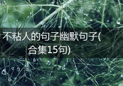 不粘人的句子幽默句子(合集15句)