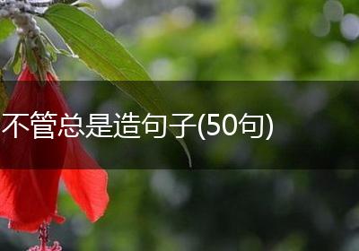 不管总是造句子(50句)