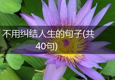 不用纠结人生的句子(共40句)