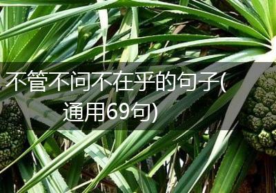 不管不问不在乎的句子(通用69句)