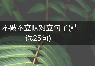 不破不立队对立句子(精选25句)