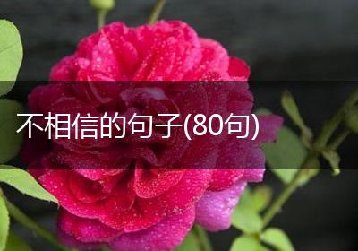 不相信的句子(80句)