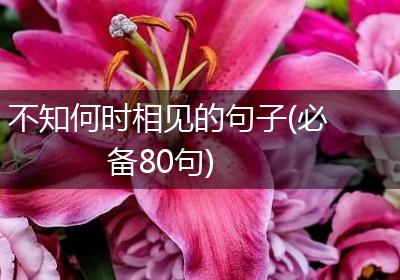 不知何时相见的句子(必备80句)