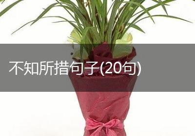 不知所措句子(20句)