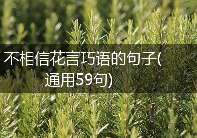 不相信花言巧语的句子(通用59句)