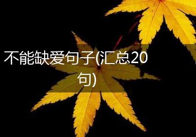 不能缺爱句子(汇总20句)