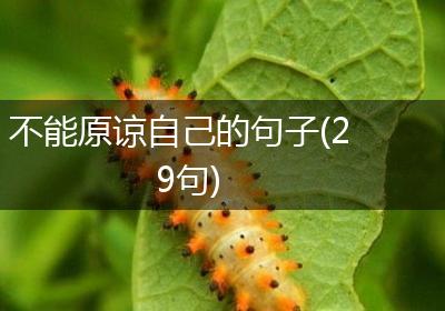 不能原谅自己的句子(29句)