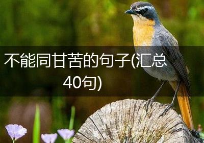 不能同甘苦的句子(汇总40句)