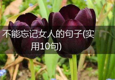 不能忘记女人的句子(实用10句)