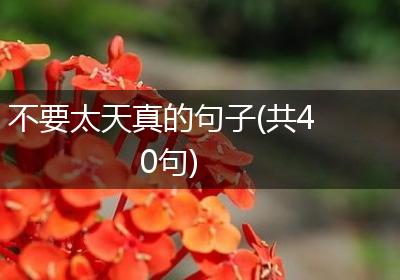 不要太天真的句子(共40句)