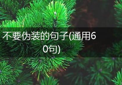 不要伪装的句子(通用60句)