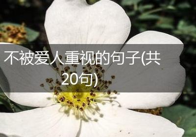 不被爱人重视的句子(共20句)