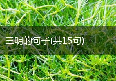 三明的句子(共15句)