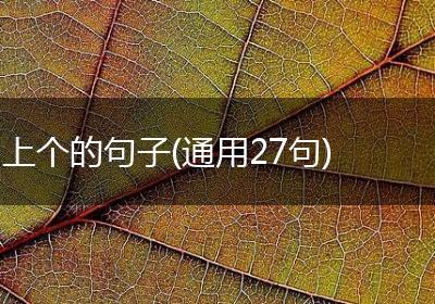 上个的句子(通用27句)