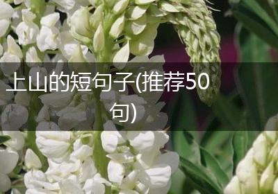 上山的短句子(推荐50句)