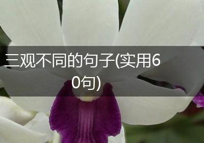 三观不同的句子(实用60句)