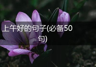 上午好的句子(必备50句)