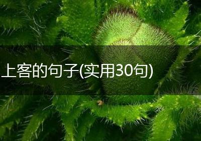 上客的句子(实用30句)