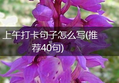 上午打卡句子怎么写(推荐40句)