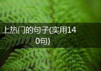 上热门的句子(实用140句)