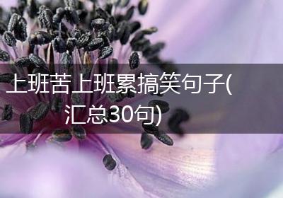 上班苦上班累搞笑句子(汇总30句)