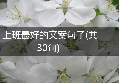 上班最好的文案句子(共30句)