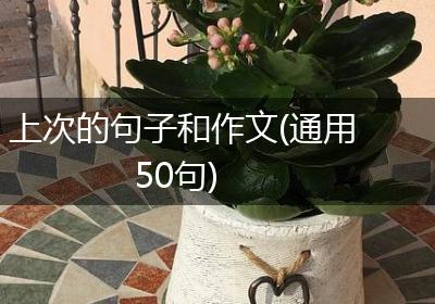 上次的句子和作文(通用50句)