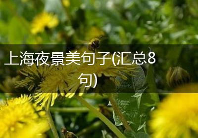 上海夜景美句子(汇总8句)