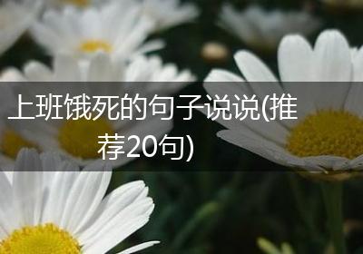 上班饿死的句子说说(推荐20句)