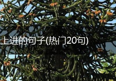 上进的句子(热门20句)